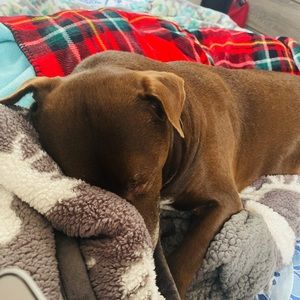 Meet your Posher, Haley